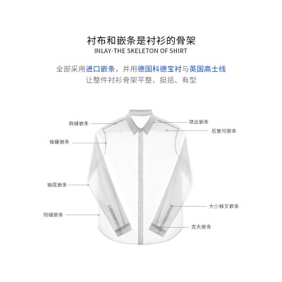 男士高档衬衫男商务青色100%棉200支四股DP成衣免烫休闲长袖衬衣  70+条图3